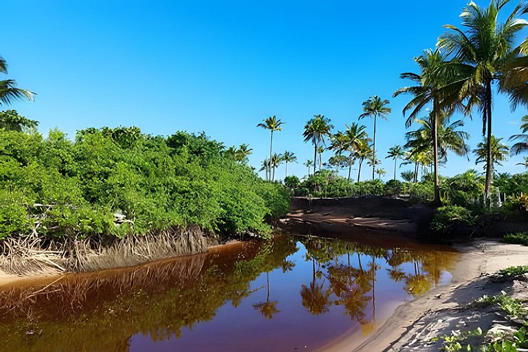 Licuri Praia de Algodões à poucos passos do mar.