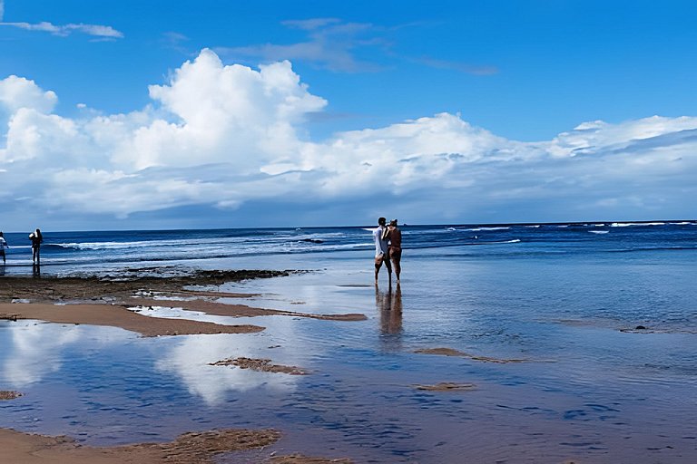 Licuri Praia de Algodões à poucos passos do mar.