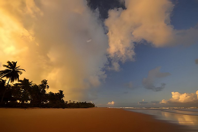 Licuri Praia de Algodões à poucos passos do mar.
