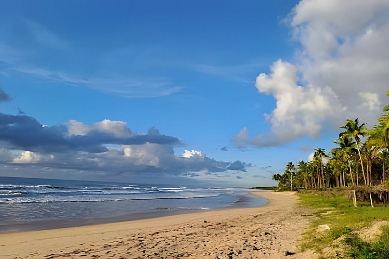 Licuri Praia de Algodões à poucos passos do mar.
