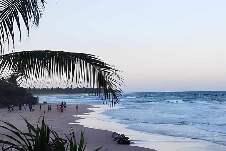 Licuri Praia de Algodões à poucos passos do mar.
