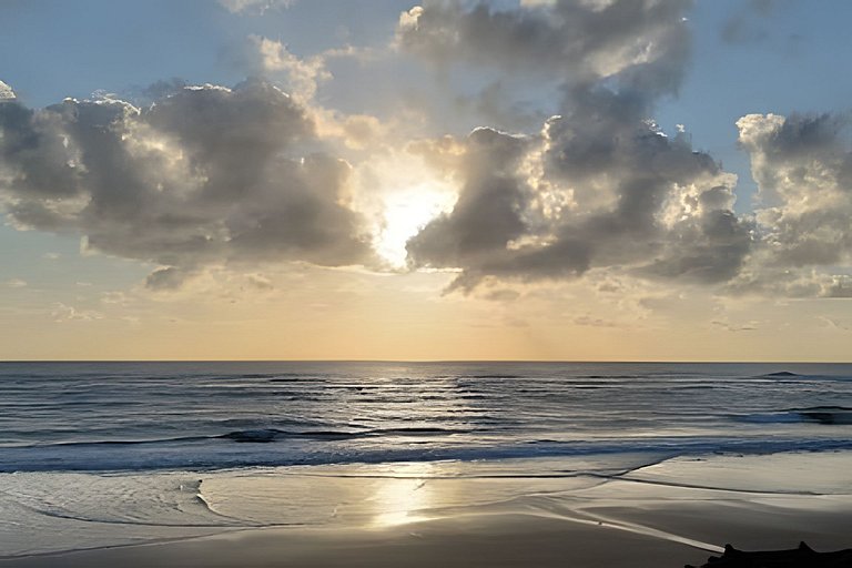 Licuri Praia de Algodões à poucos passos do mar.