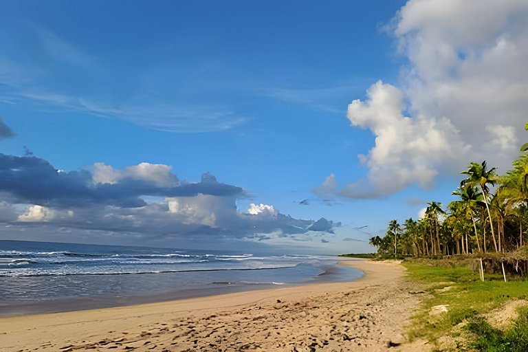 Licuri Praia de Algodões se hospedar na beira mar