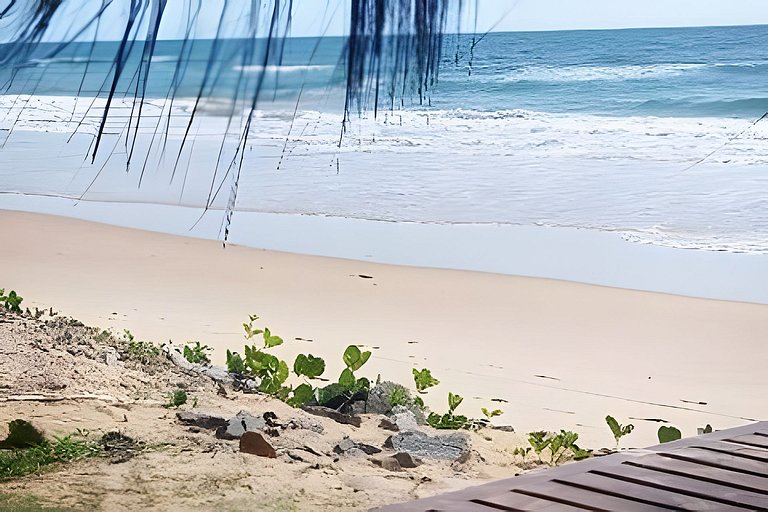 Licuri Praia de Algodões paz amor na beira do mar