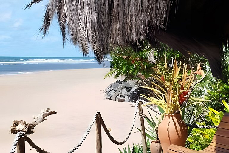 Licuri Praia de Algodões paz amor na beira do mar