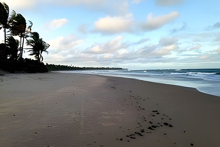 Licuri Praia de Algodões paz amor na beira do mar
