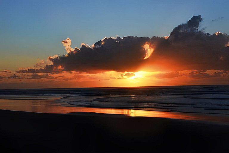 Licuri Praia de Algodões paz amor na beira do mar