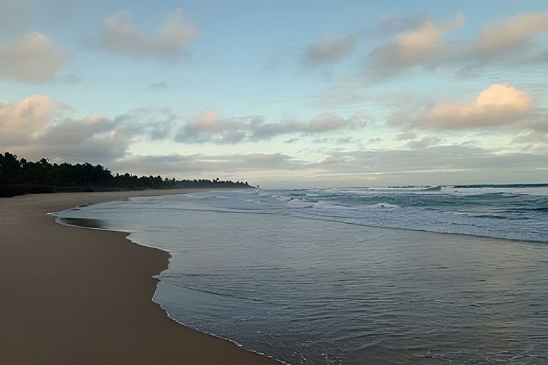 Licuri Praia de Algodões paz amor na beira do mar