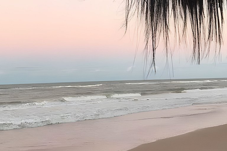 Licuri Praia de Algodões paz amor na beira do mar
