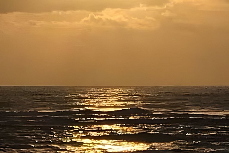Licuri Praia de Algodões paz amor na beira do mar