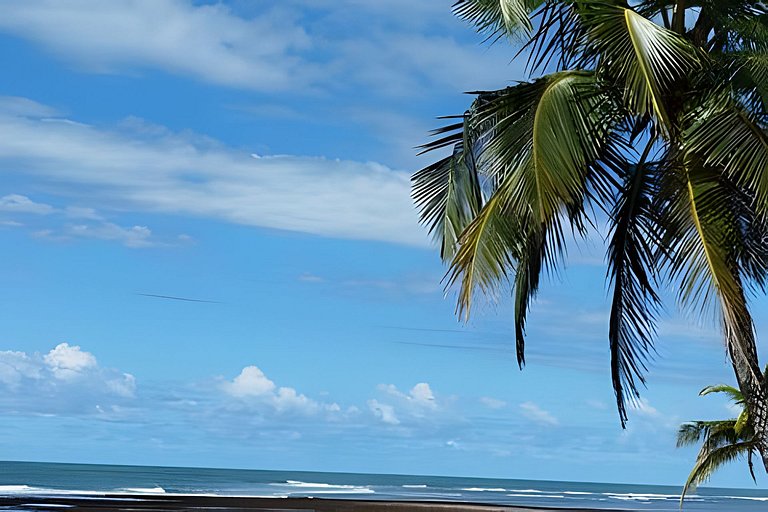 Licuri Praia de Algodões paz amor na beira do mar