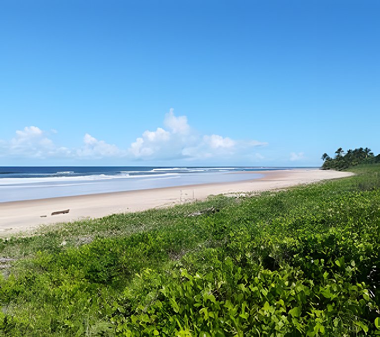 Casas Versos do Mar | Maraú